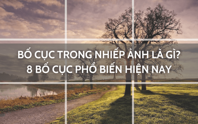 Bố cục trong nhiếp ảnh là gì