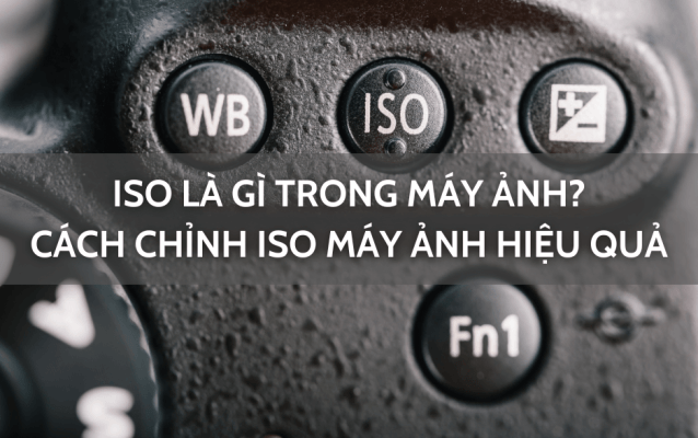 ISO là gì trong máy ảnh