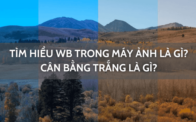 Wb trong máy ảnh là gì