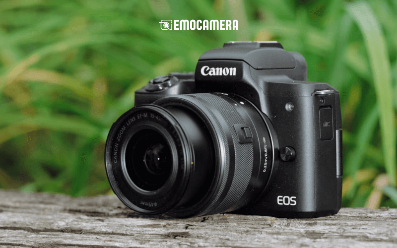 máy ảnh mirrorless cho người mới bắt đầu